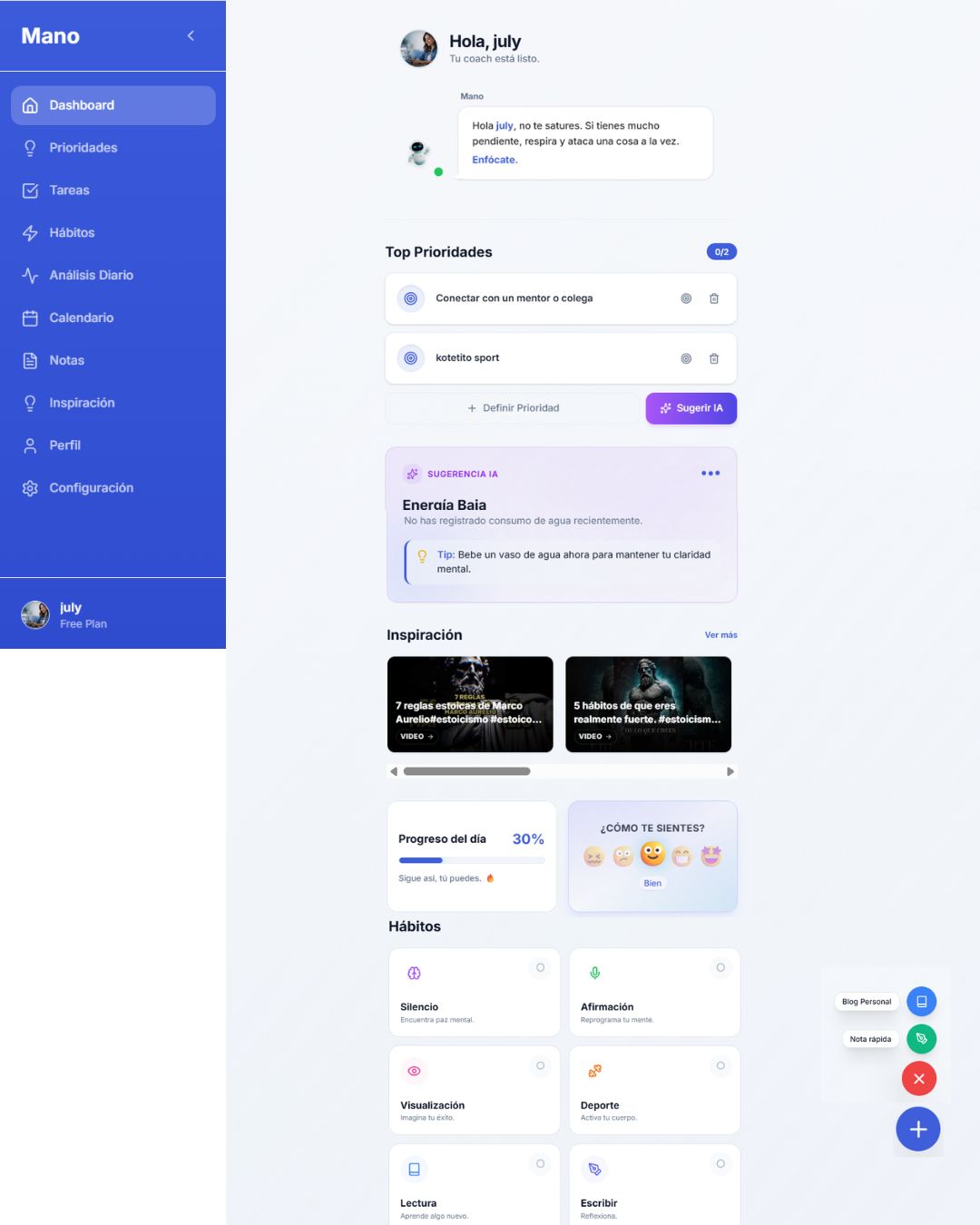Mano Dashboard Interface
